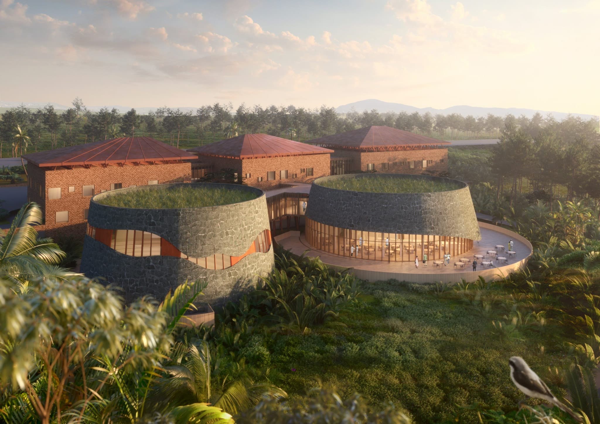 Ircad hospital project